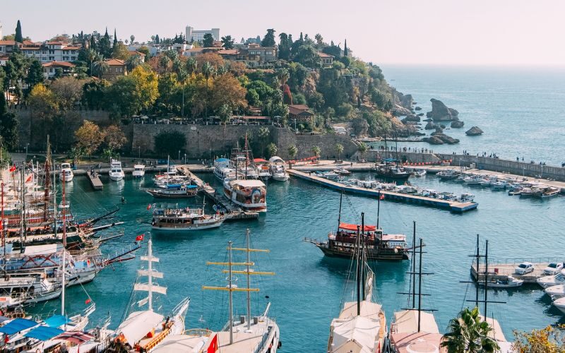 A pier with a bunch of parked boats. An historic city with green trees on the side.