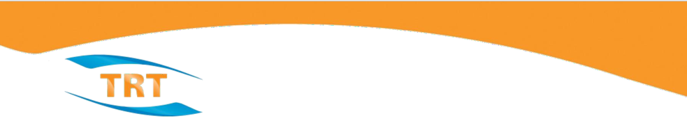 TRT Solutions Limited: Global Support Services Engineer