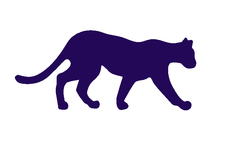 Leopard.FYI: Senior Account Manager (Technical Recruiting Marketplace & Community)