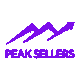 PeakSellers: Amazon Account Manager | PPC & Client Success Expert
