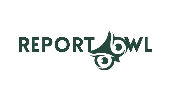 Report Owl LLC: Inside Sales Contractor