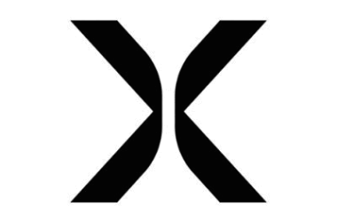 NewtonX: Strategic IT Advisor