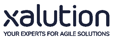 xalution: Projektový manažer/ka (m/w/d) (7)